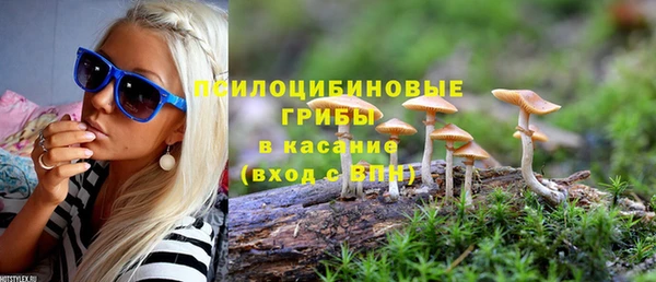 гидропоника Воткинск