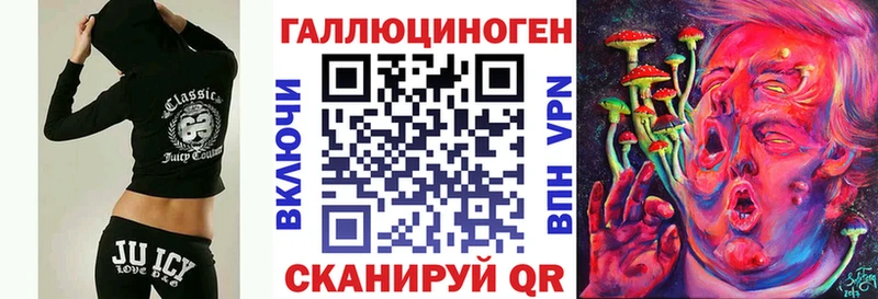 Купить Клинцы Галлюциногенные грибы Psilocybine cubensis